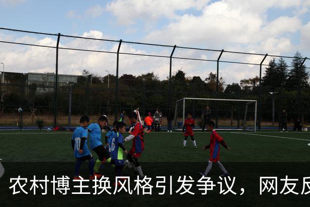 农村博主换风格引发争议，网友反映真实感缺失