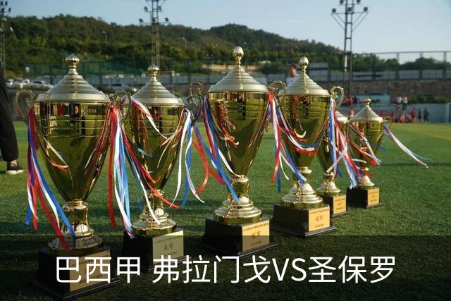 巴西甲 弗拉门戈VS圣保罗