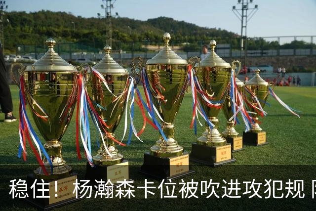 稳住！杨瀚森卡位被吹进攻犯规 防守端再送对手迎面大帽